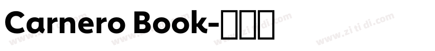 Carnero Book字体转换